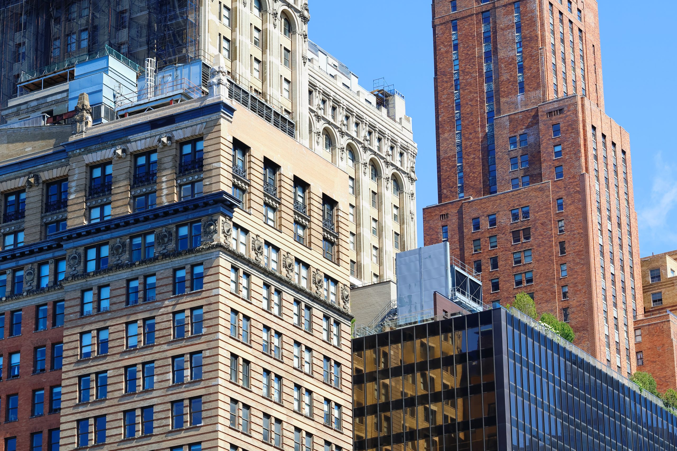 pexels-valery-anatolievich-18352382